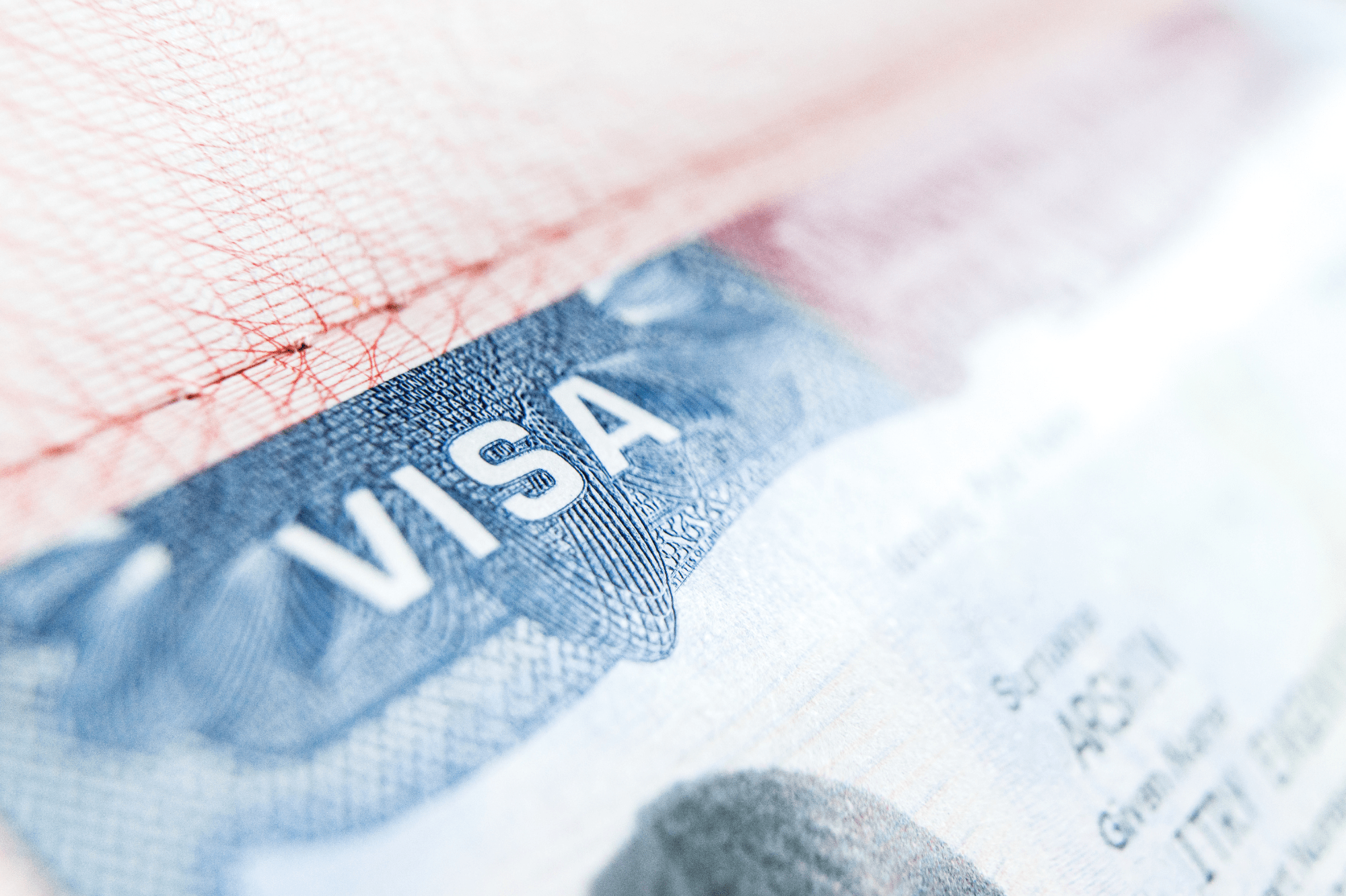 Immigration Lawyer Dallas | Moma Immigration Law